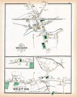 Wayland 2, Weston 2, Middlesex County 1889